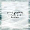 매일라이프 - 강동구 천중로 195-16 | 매일라이프