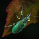 구미파크골프장 이미지