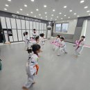 강한아이태권도장 이미지