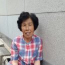 금일농산
