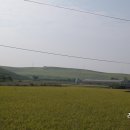 시왕목장 이미지