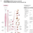 운동케어센터 이미지