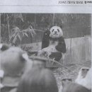 공짜나라 이미지