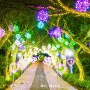 보타니카 170 | 제주 야경 명소 서귀포 제주도 허브동산