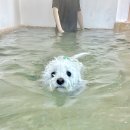 보느몽뜨 이미지