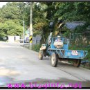 반디불민박 이미지