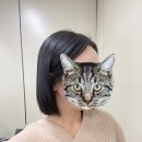 스마일헤어 네이버블로그