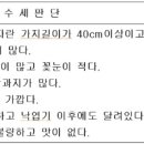 과수원 토양관리 및 시비요령 이미지