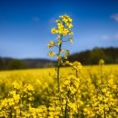 네오쇼핑 이미지