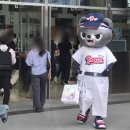 명진프린팅 | 야구장] 두산 vs NC 밥캣 허슬두시리즈 직관⚾ 중앙네이비 319블럭 16열 시야 & 프라이돈 & 키캡키링 후기