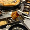 곱이고운돌곱창 | 광주 수완지구 곱창 맛집 찾는다면 무조건 여기! 뚱대창 곱창구이 솔직 후기 [돌곱1991]