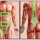 셀렉트짐 PT & 헬스 광화문점 이미지