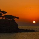 센트럴시티 고속버스터미널 이미지