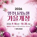 양주 나리농원 천일홍축제(FESTA) 풍경사진 1편 이미지