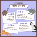 펫친구 이미지