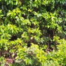 NR-22[중앙로]-상-246 | (22년8월)제주도 표선여행2일차