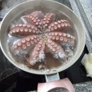 궁항어촌체험휴양마을 | [통영]궁항어촌체험마을 벚꽃과 함께 갯벌체험 및 바베큐파티