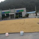 예밀농장 이미지