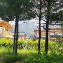 (주)현대식자재 네이버블로그