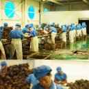 중앙농장 이미지