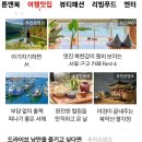 블로그 챌린지 6월 두번째 주간 일기