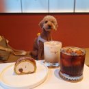 호두미디어 | 경주 황리단길 미디어아트 강아지동반카페 오버랩 방문 후기