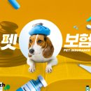 나라복지문화연구원 이미지