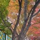 큰대문마켓 이미지