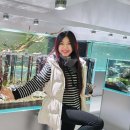 비지니스 이미지