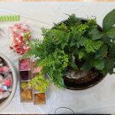 외포농장 이미지