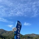 옥정호구절초테마공원 | 10월 11월 가을 꽃축제 전북 정읍 구절초 지방정원 만개 방문 시기, 정읍 짚와이어 체험 내돈내산 후기