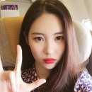 선미헤어라인