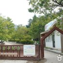 금강자연휴양림 이미지