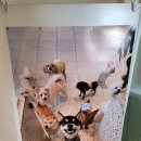 안녕아가 이미지