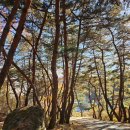 (주)유일이엔티(시화) | [전통주 음악 자연이 함께하는 1박 2일 힐링 투어]안동 기미주안 투어 후기_1. 봉정사 트레킹