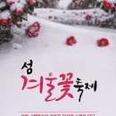 4천만 송이 동백의 유혹, 신안 섬 겨울꽃 축제 이미지