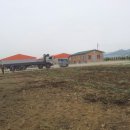 도고양돈 이미지