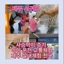 대화자동차 | 제주 아이랑 가볼만한곳｜세계자동차&amp;피아노박물관 체험 총정리 후기