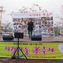 단비노래클럽 Daum카페