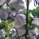 잘커농장 이미지