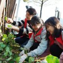 은행공원 내 이미지