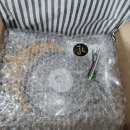 해피 홀쇼핑 이미지