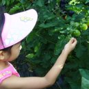 상호리마을 이미지