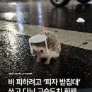 모든 것은 행복해지기 위한 여정이였으니