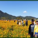황산공원(황산B) 이미지