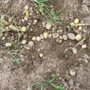 정근농장 이미지