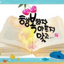 중년의 가슴에 8월이 오면~ 이채 이미지