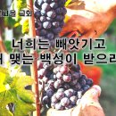 3월 17일(금) 너희는 빼앗기고 부서지리라! 이미지