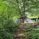 영월 스타 글램핑 | 영월 수영장 캠핑장 히어리캠핑장, 가족 물놀이 캠프의 정답 🏕️