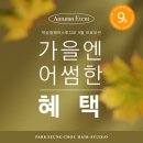다래헤어아트 이미지